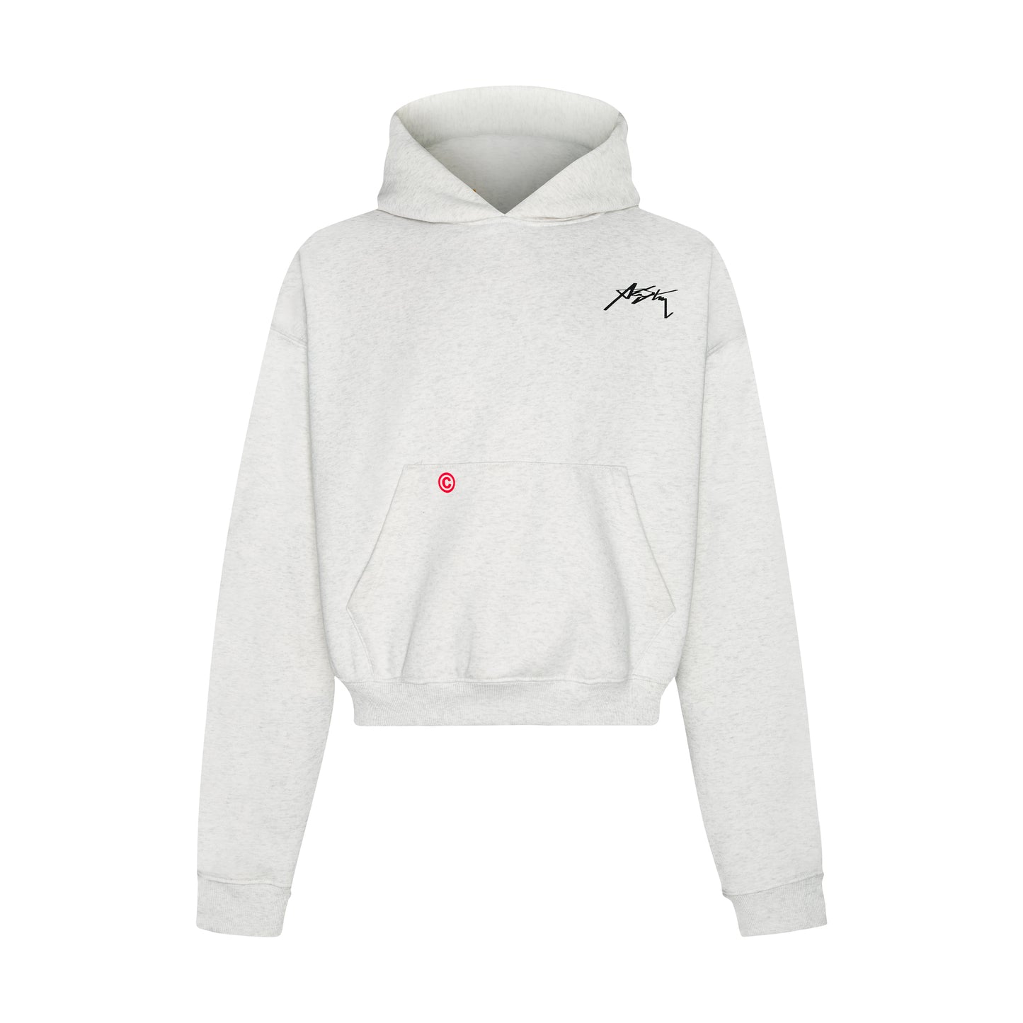 AA SIGNATURE HOODIE VER 1 // GRAY